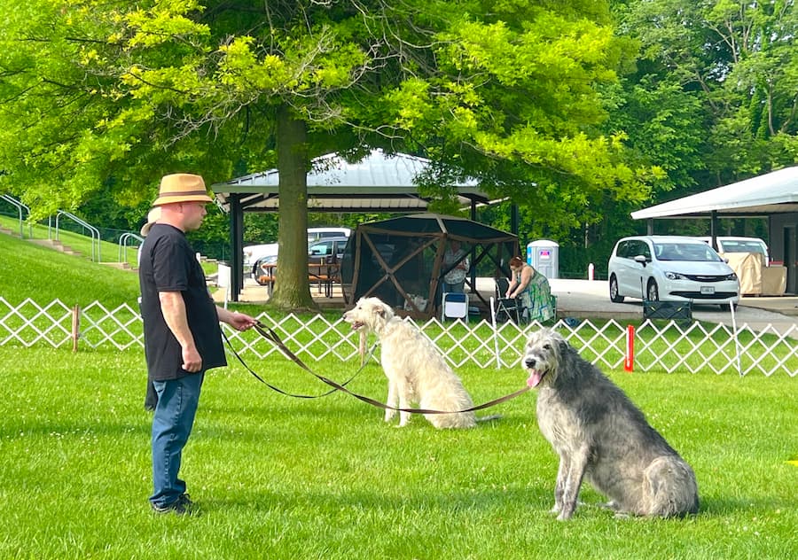 Claude & Dave doing a sit-stay