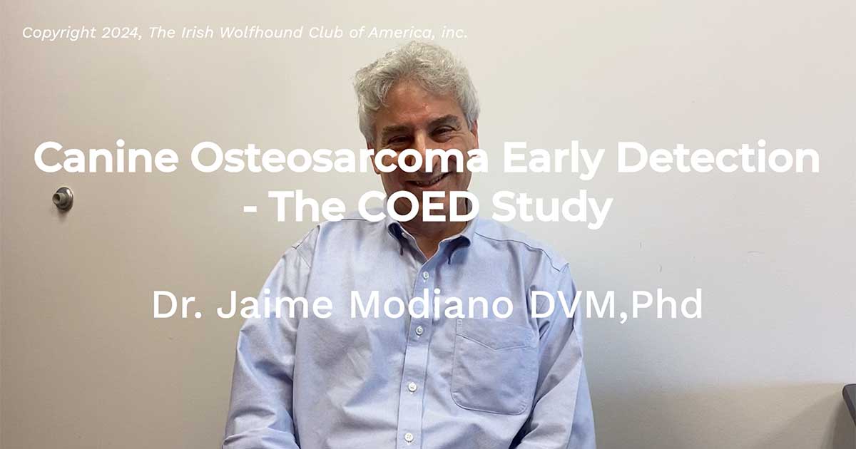 2024 Update – Canine Osteosarcoma Early Detection - The COED Study with Jaime Modiano DVM, PhD